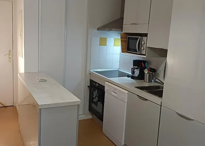 La Marmotte T2 Classe 3 Etoiles Aulus-les-Bains